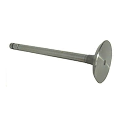 Intake Valve