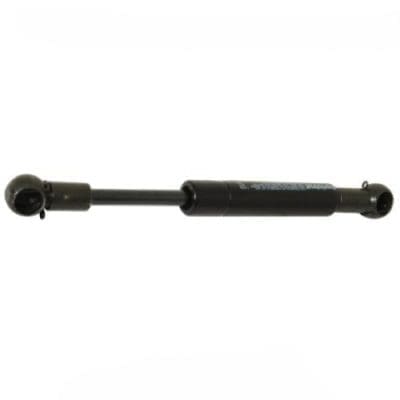 Door Strut
