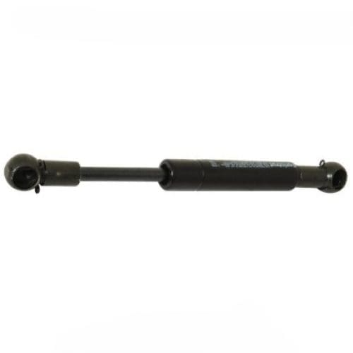 Door Strut