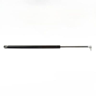 Door Strut