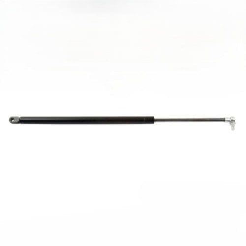 Door Strut