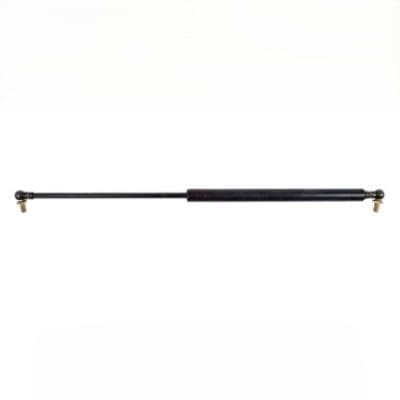 Door Strut