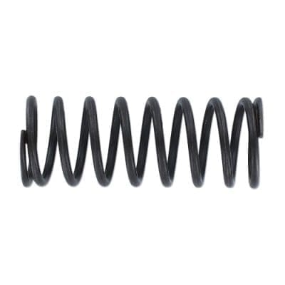 Valve Spring